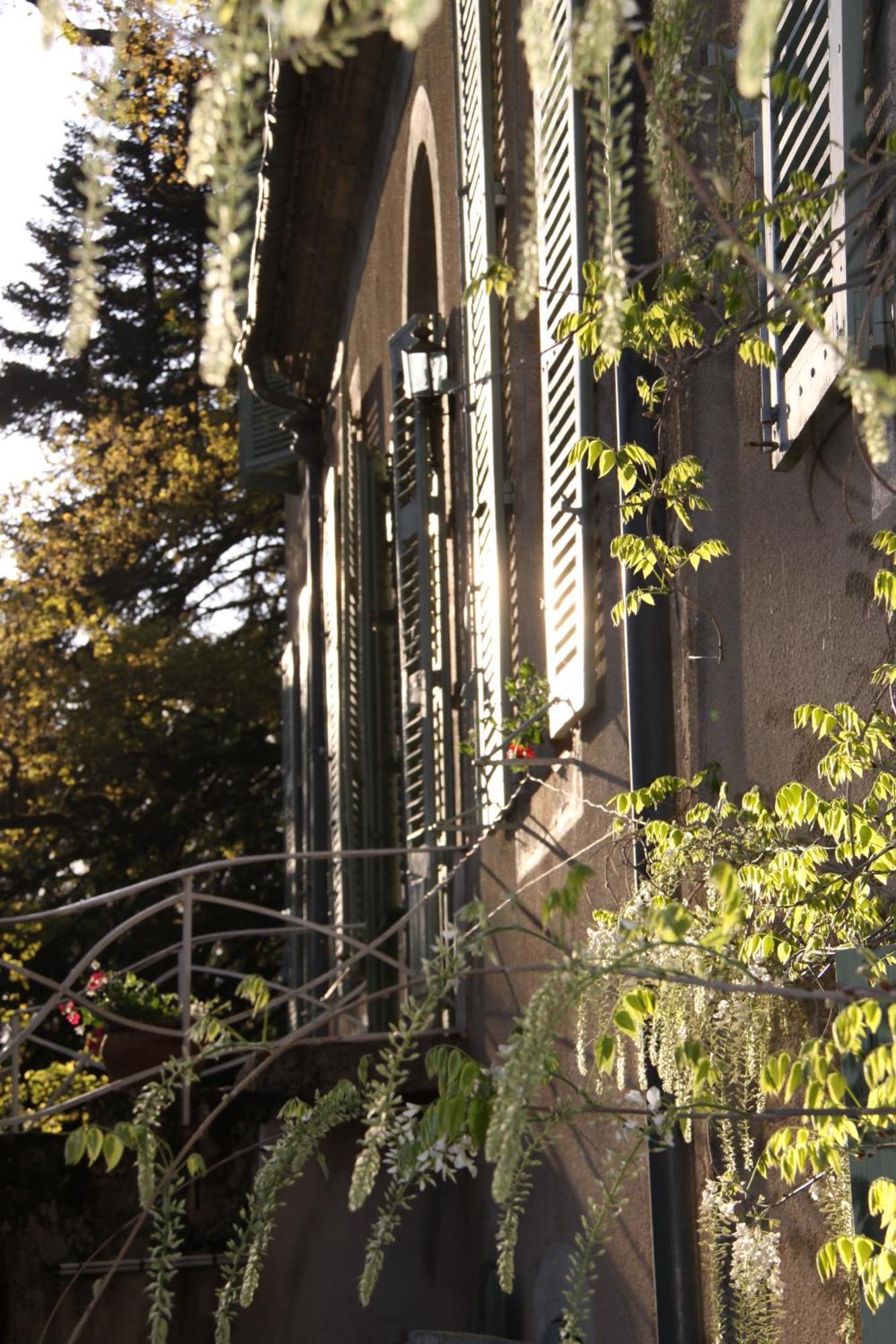 カストル Domaine Le Castelet Bed & Breakfast エクステリア 写真